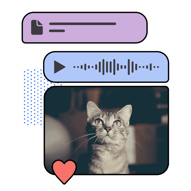 Signal多媒体分享功能图标